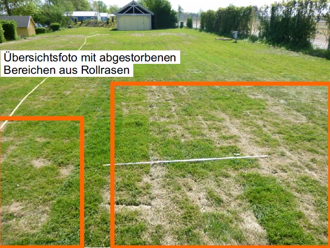 Praxisbeispiele Sachverständiger für Garten und Landschaftsbau