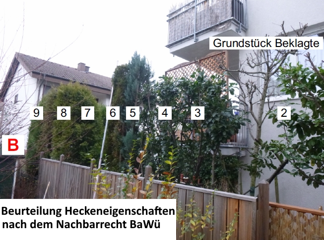 Praxisbeispiele Sachverständiger für Garten und Landschaftsbau